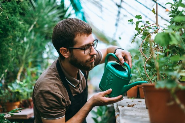 Discover the efficiency of the oya watering pot for your plants